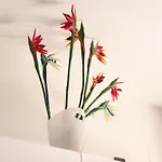 Strelitzia Appartamento