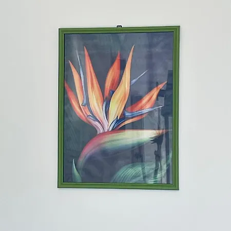 Апартаменты Strelitzia