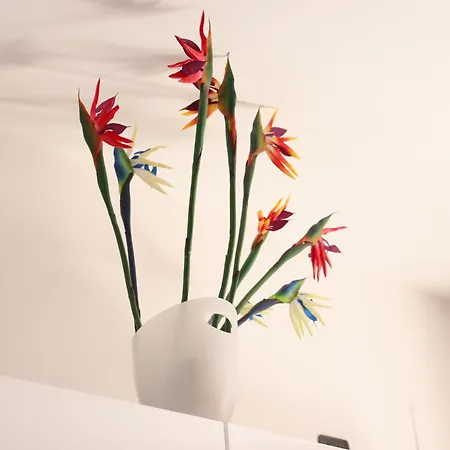 Strelitzia Апартаменты