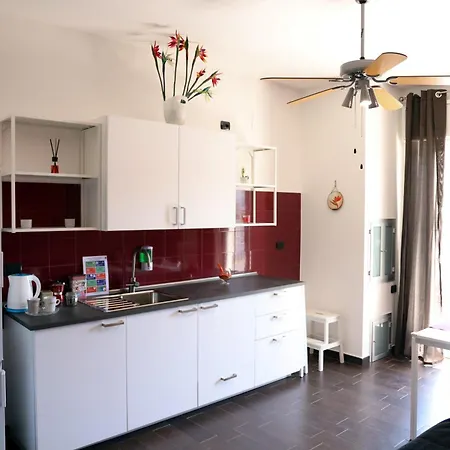 Strelitzia Джовинаццо