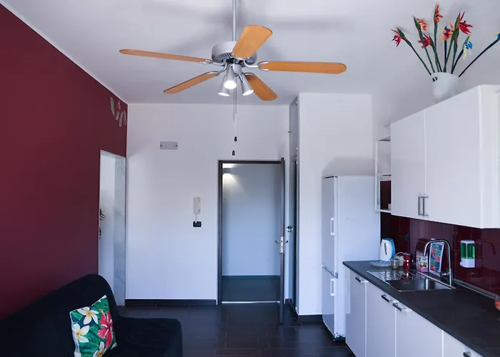 Strelitzia 焦维纳佐