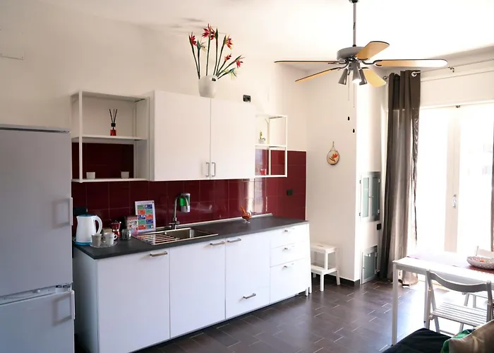 Strelitzia 焦维纳佐